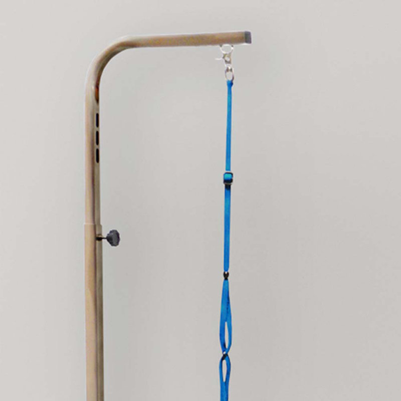 Go Pet Club Dog Grooming Table with Arm & Reviews Wayfair